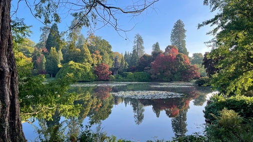 View of trees in autumn across a lake
